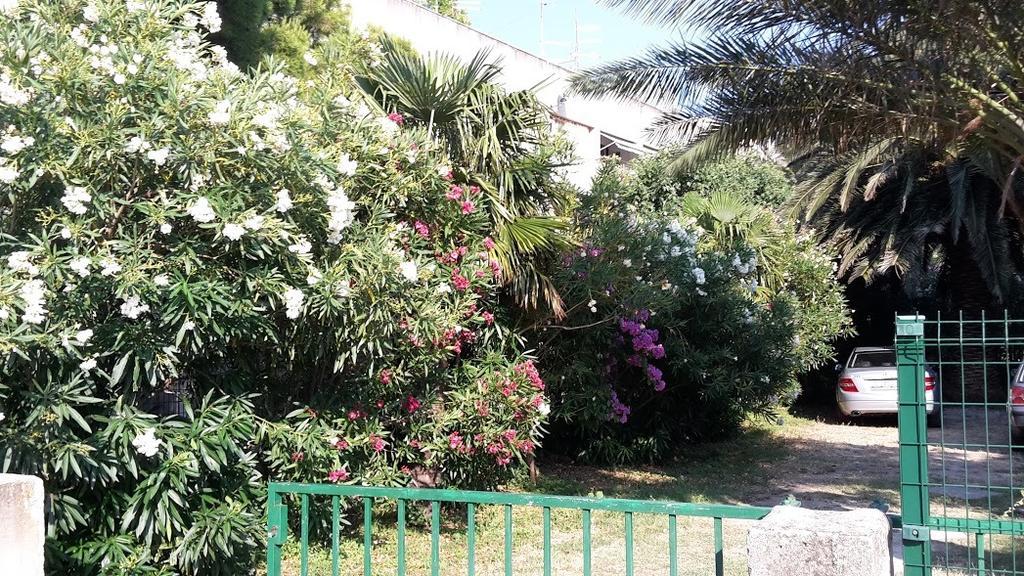 Sabina Apartments Omiš Δωμάτιο φωτογραφία