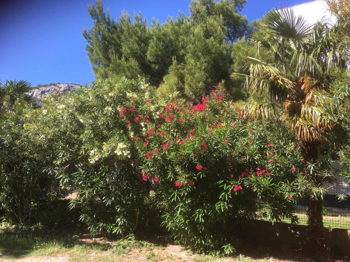 Sabina Apartments Omiš Εξωτερικό φωτογραφία